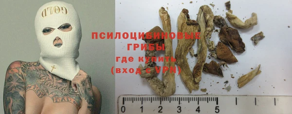 прущая мука Арсеньев