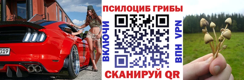 Псилоцибиновые грибы Psilocybe  хочу наркоту  Калязин 